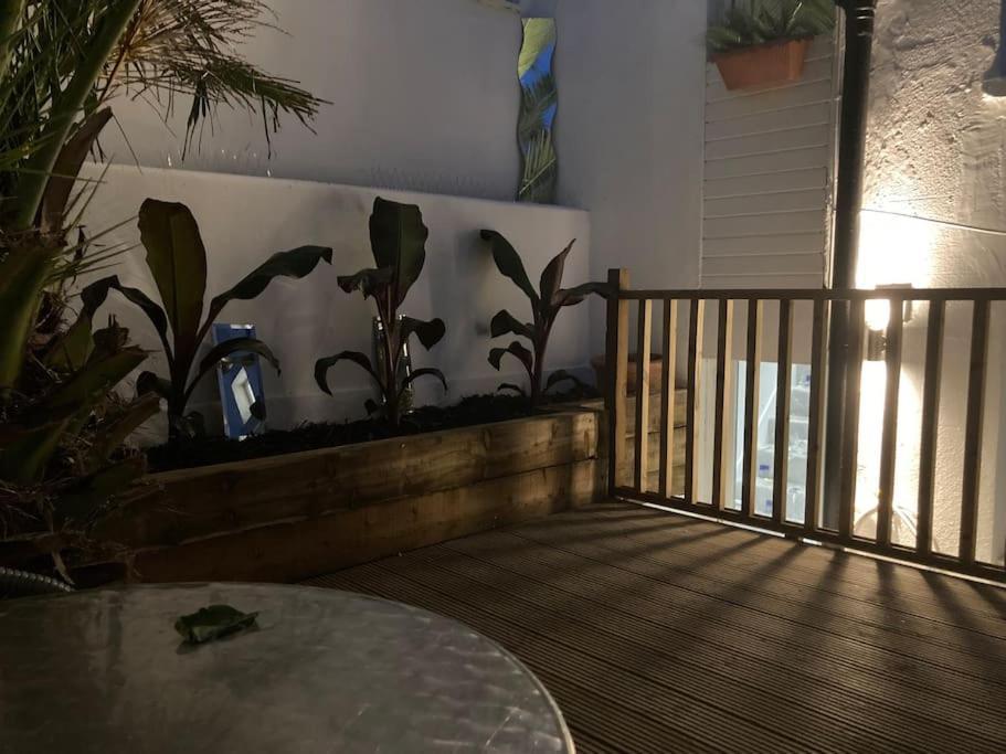 Brighton Palms Leilighet Eksteriør bilde