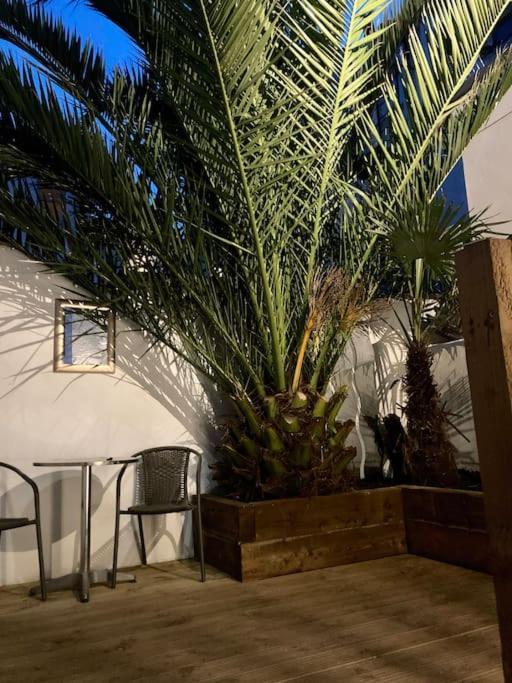 Brighton Palms Leilighet Eksteriør bilde